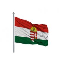 Újabb magyar vereség