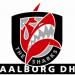 Nem indul az EHF-kupában az Aalborg